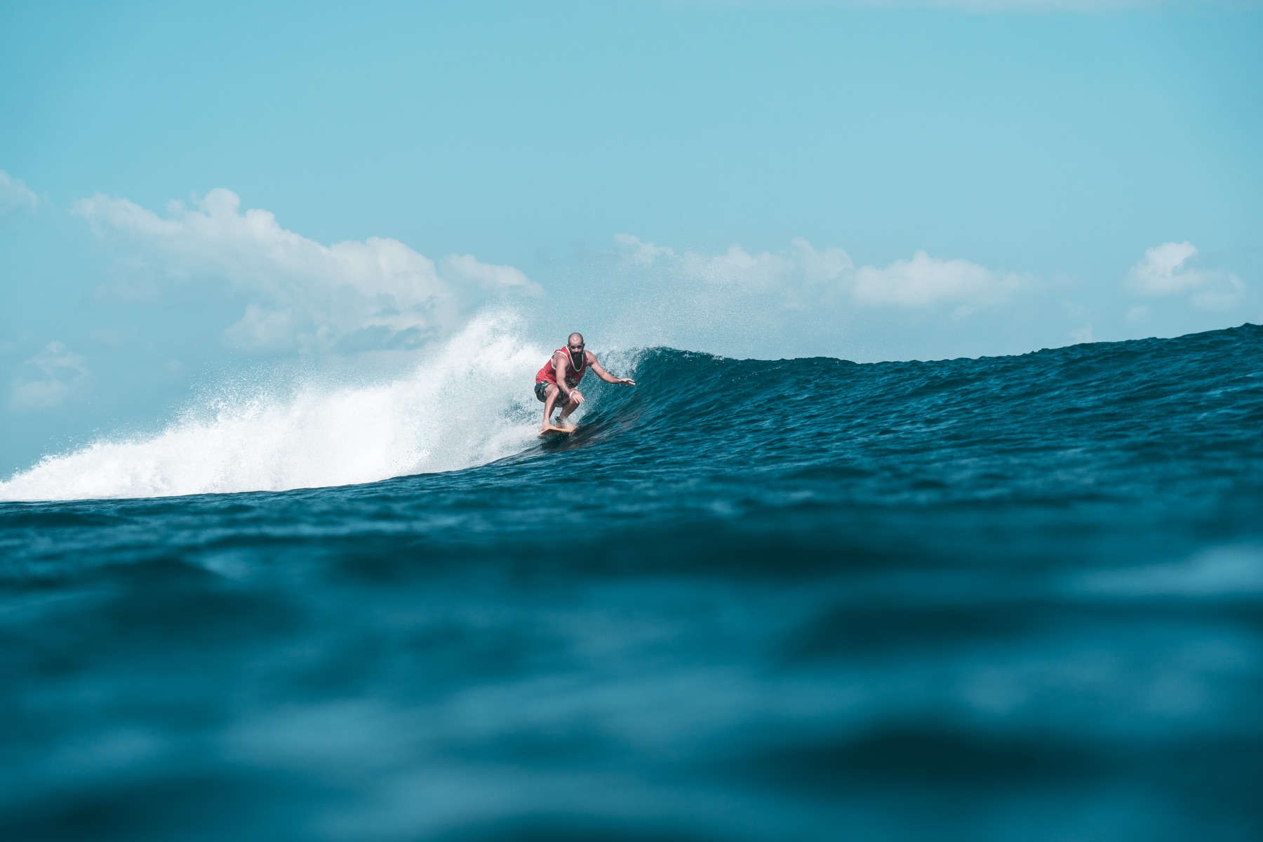 Single Fin — water