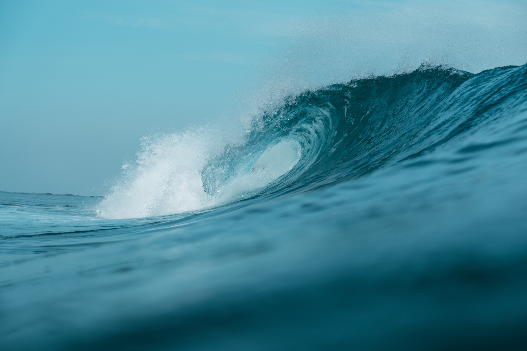 Single Fin — water