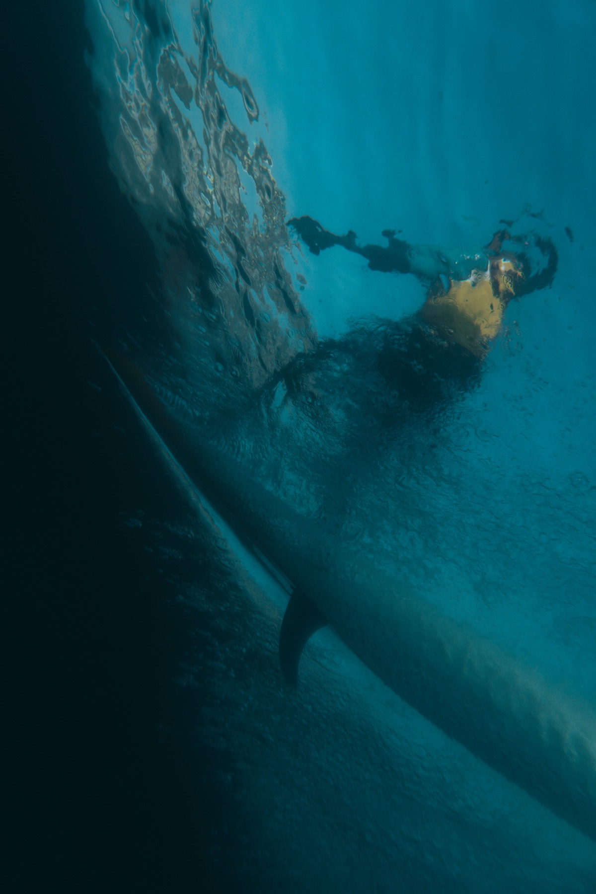 Single Fin — water