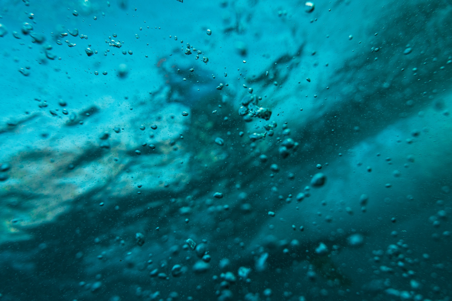 Single Fin — water
